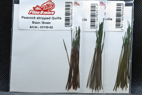 Peacock stripped Quills Sortiment